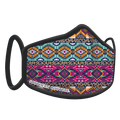 SC Personal Protective Masks, Aztec