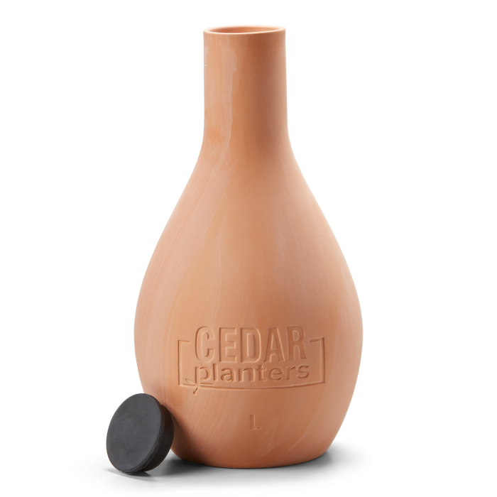 Large (3 L)