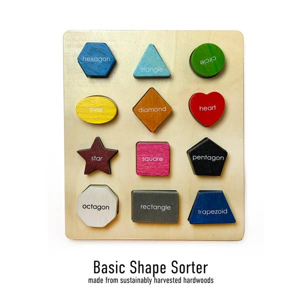 Shape Sorter Puzzle