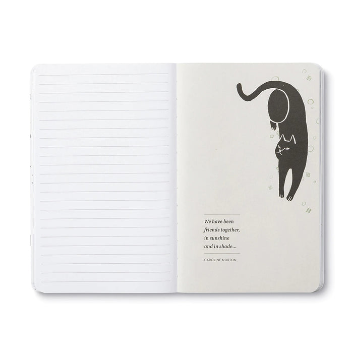 There Are No Ordinary Cats - Journal