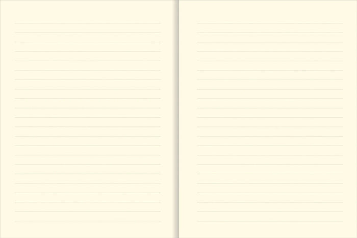 Universe Journal