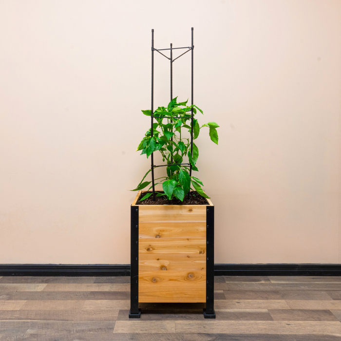 Vegetable Cage