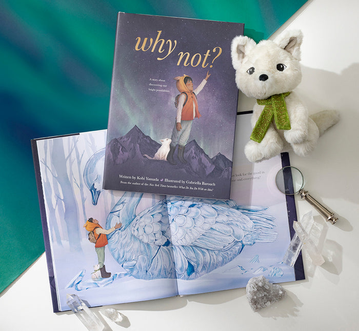 Why Not? - Book
