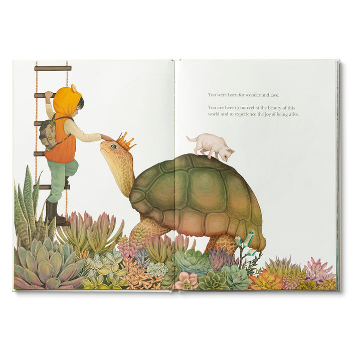 Why Not? - Book