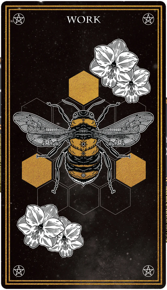 Wild Mystic Oracle Card Deck