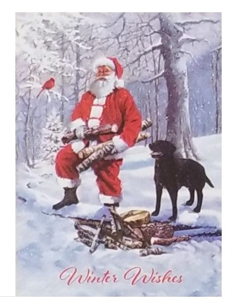 Winter Wishes - Premium Boxed Holiday Cards - 18ct.