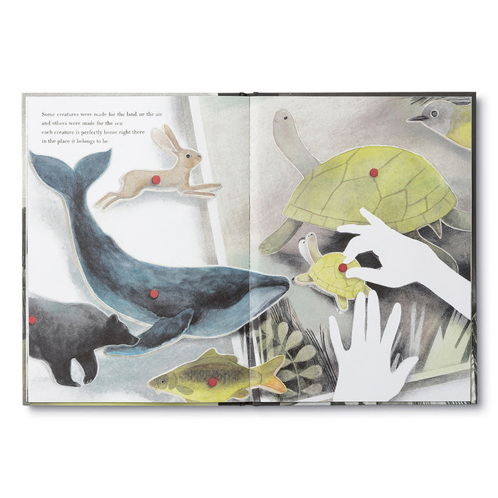 You Belong Here - Book